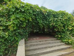 -黑龙江省森林植物园