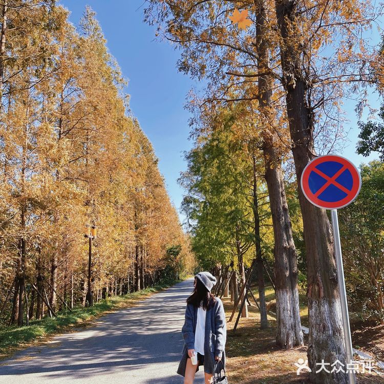 南通小众拍照打卡地📸秋冬限时美景🍂