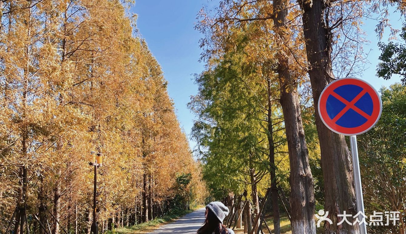 南通小众拍照打卡地📸秋冬限时美景🍂