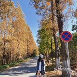 南通小众拍照打卡地📸秋冬限时美景🍂