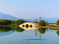 -飞来湖湿地公园