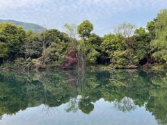 -龙坞茶村