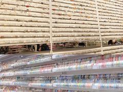 -KKV(深圳宏发大仟里店)