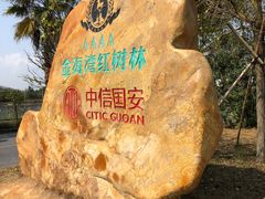 -北海金海湾红树林生态旅游区