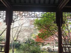 -秋霞圃