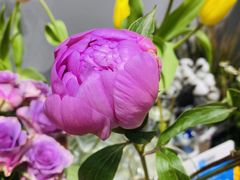 -何兮花店·气球派对鲜花店(马桥银春路万科城店)