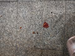 -荔康动物医院(康王北路店)