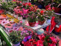 -朝来春花卉市场