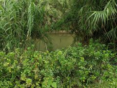 -白鹭湾湿地公园