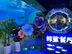 -上海海昌海洋公园