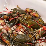 五折肉蟹煲🦀！快去打卡‼️