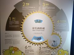 -正佳自然科学博物馆