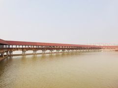 -九龙湖公园