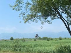 -野鸭湖国家湿地公园