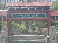 -原山国家森林公园