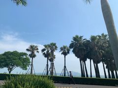 -黄金海岸环岛路