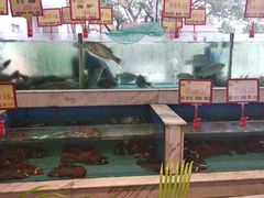 -盆满钵满·国家非遗传承(云台店)