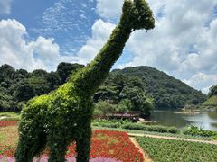 -广州市石门国家森林公园