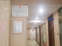 -碧莲盛·不剃发植发