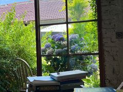 -Jo's Garden