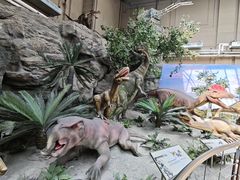 -国家自然博物馆