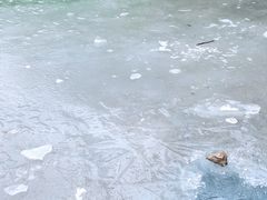 -黑龙潭风景区