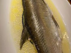 鸡汁长江白鱼-南京大牌档(济南万象城店)