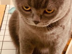 -欢乐迪氧吧KTV(大渡口步行街店)