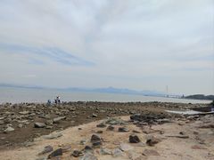 -深圳湾公园(南山区)
