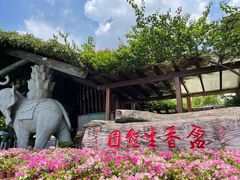 -盈香心动乐园
