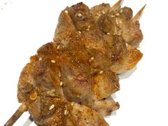 烤羊宝-九府羊·鲜羊火锅·烤串(新华路店)