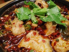 藤椒鲢鱼片-陶德砂锅居(育才路店)