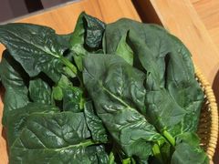 -巴奴毛肚火锅(龙湖锦艺城店)