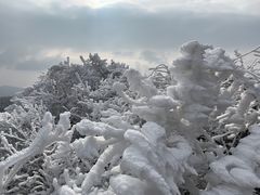 -东白山