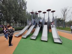 -汉长安城未央宫国家考古遗址公园