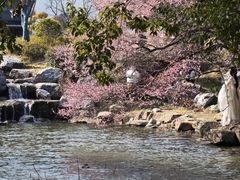 -中国茶叶博物馆(双峰馆区)