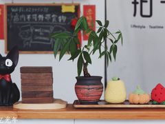 -拾年