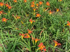 -国家植物园南园