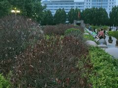 -西清公园
