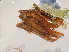 -新雅粤菜馆(南京东路店)