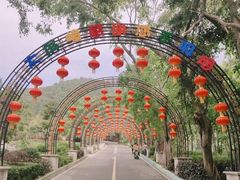 -大屏嶂森林公园
