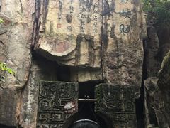 -铁山坪森林公园