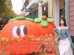 -王府井奥莱临潼小镇(临潼店)