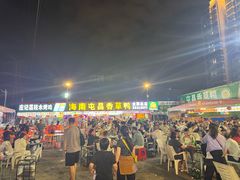 -盐禾堂海南屯昌香草鸭(总店)