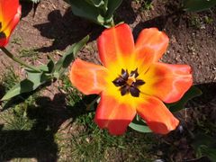 -长春公园(普阳街道)