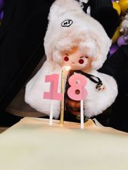 -派对猴生日派对策划(浦东店)