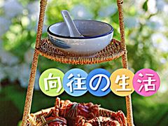 -莲花岛景区