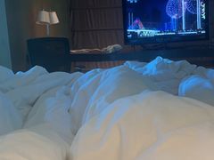 -深圳皇庭V酒店