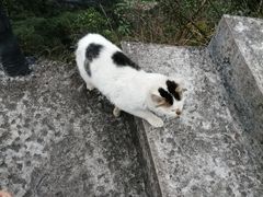 -楠溪江风景名胜区