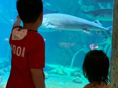 -华夏文旅海洋公园